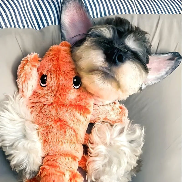 FurryPal™ - Eindeloos plezier voor je harige vriend - Azora