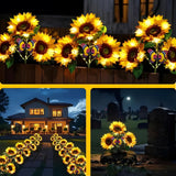 SunBloom™ – Få din have til at blomstre & nyd stemningsfulde aftener! - Azora