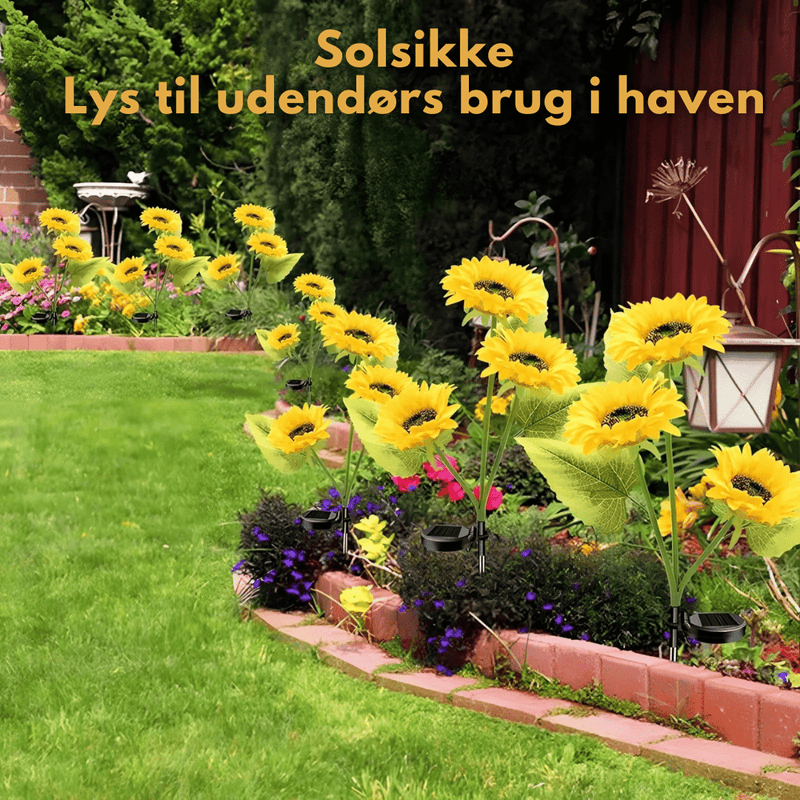 SunBloom™ – Få din have til at blomstre & nyd stemningsfulde aftener! - Azora